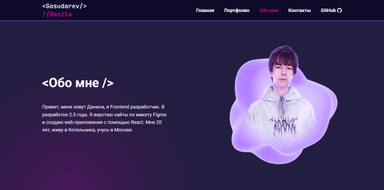 Портфолио 1.0 картинка #3