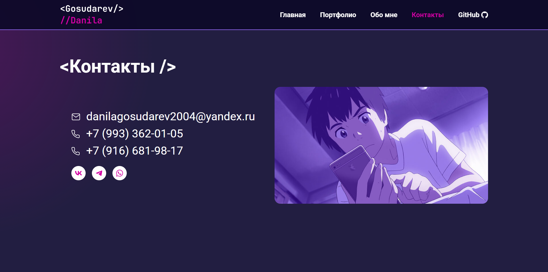 Портфолио 1.0 картинка #4